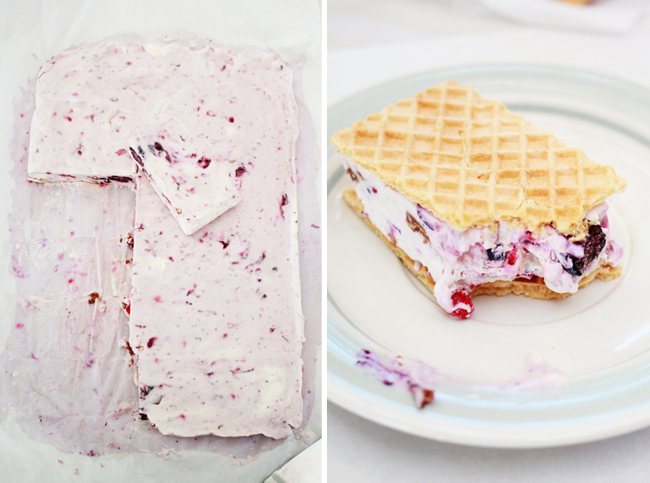 Berry & Chocolate Homemade Ice Cream Sandwiches from www.fishfishme.eu.com