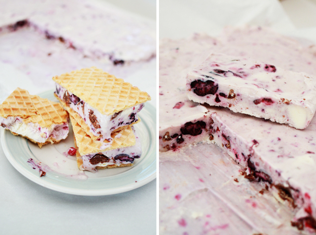 Berry & Chocolate Homemade Ice Cream Sandwiches from www.fishfishme.eu.com