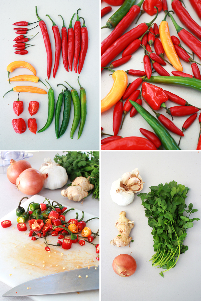Recipe for Chili Sauce | www.fishfishme.eu.com