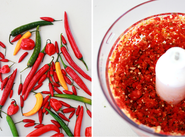 Recipe for Chili Sauce | www.fishfishme.eu.com