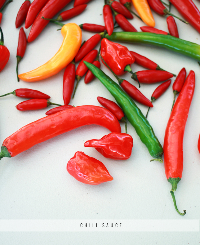 Recipe for Chili Sauce | www.fishfishme.eu.com
