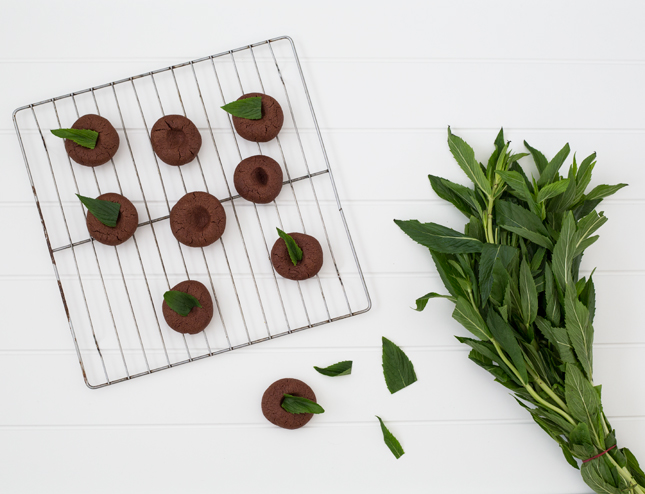 RECIPE | Choc Mint Drops By Erika Rax for www.fishfishme.eu.com (blog.erikarax.com/)