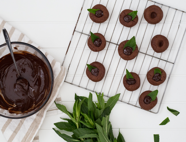 RECIPE | Choc Mint Drops By Erika Rax for www.fishfishme.eu.com (blog.erikarax.com/)