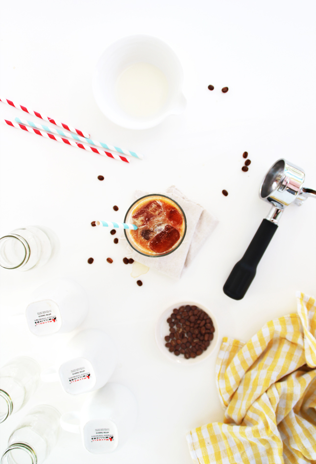 Wake up with this easy Iced Coffee Recipe | www.fishfishme.eu.com