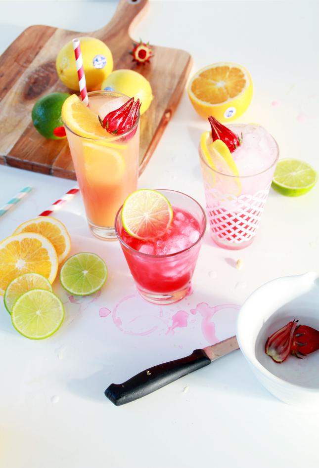 3 Rosella & Vodka Cocktails -  See the full recipes at www.fishfishme.eu.com