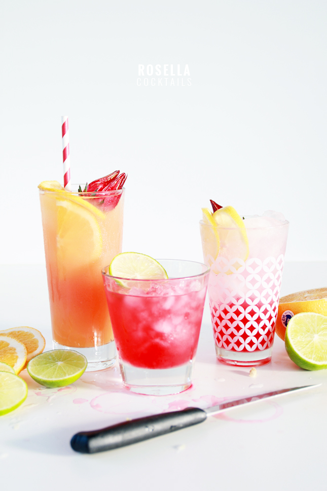 3 Rosella & Vodka Cocktails -  See the full recipes at www.fishfishme.eu.com