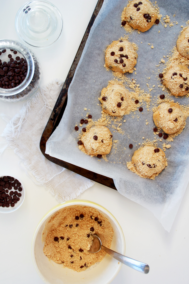 Chocolate Chip Crumb Cookie Ice Cream Sandwiches! WOW! | www.fishfishme.eu.com