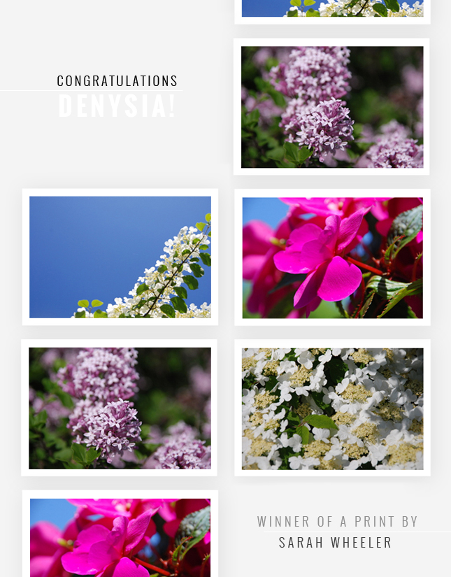 giveaway-winner-sarah-wheeler