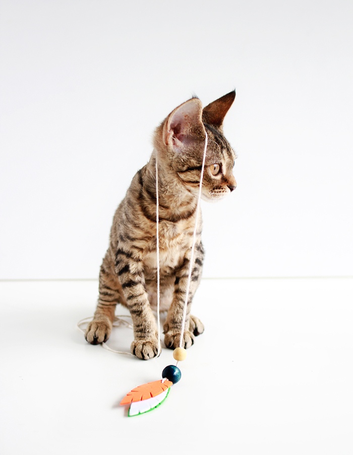 Entertain your feline friends: DIY Feathered Cat Toys | www.fishfishme.eu.com