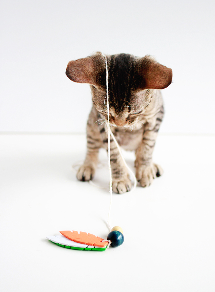 Entertain your feline friends: DIY Feathered Cat Toys | www.fishfishme.eu.com